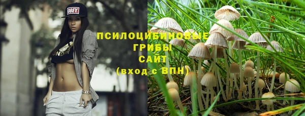 синтетический гашиш Зеленодольск
