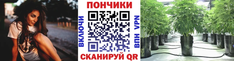 shop Telegram  Пустошка  МАРИХУАНА планчик 